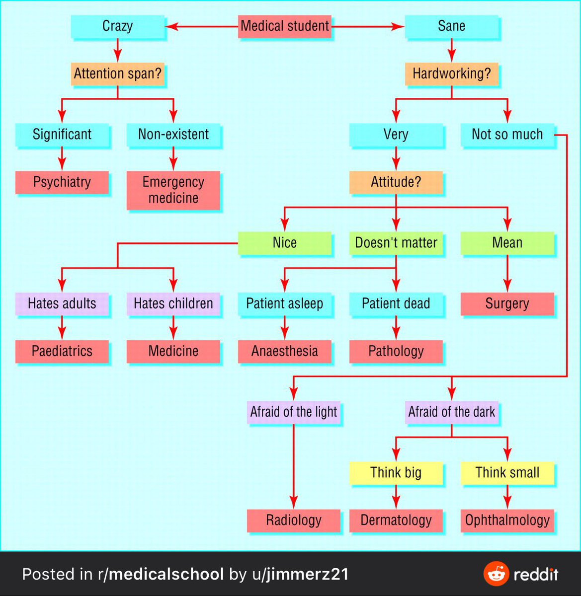 iamemonc's tweet photo. Since Neetpg counselling gonna starts soon..
Here a little flow chart to choose your branch😅
#neetpg2022counselling https://t.co/DV7DZsKicc