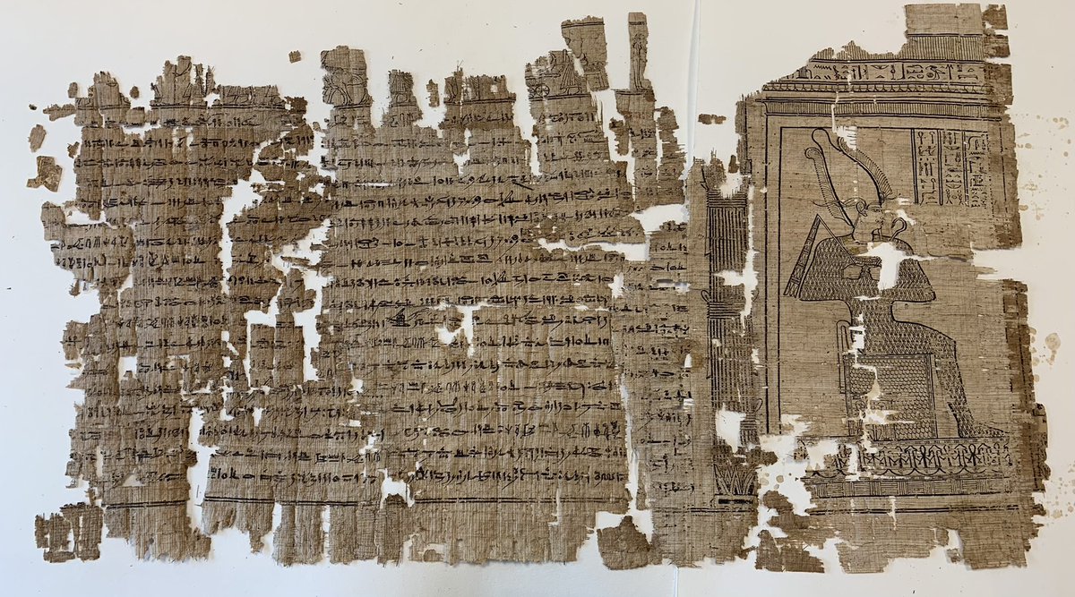 We are currently working with Egyptian conservator and papyri specialist, Arzak Mohamed, to re-house some of our #egyptian #papyri incl this exquisite Ptolemaic #bookofthedead from Saqqara (NMR.85.1-6). Just look at the meticulous detail in the Osiris vignette @ccwm_sydney