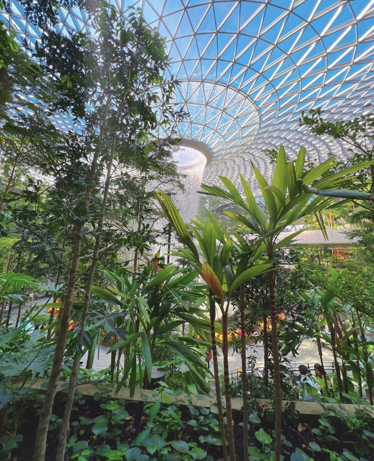mflam63's tweet photo. The airport can also be a tourist attraction as Singapore has opened up and gradually some tourists can be seen taking pictures. I believe that soon we will see more tourists and return to the way it was before the new crown. https://t.co/LvOi3bBqVp