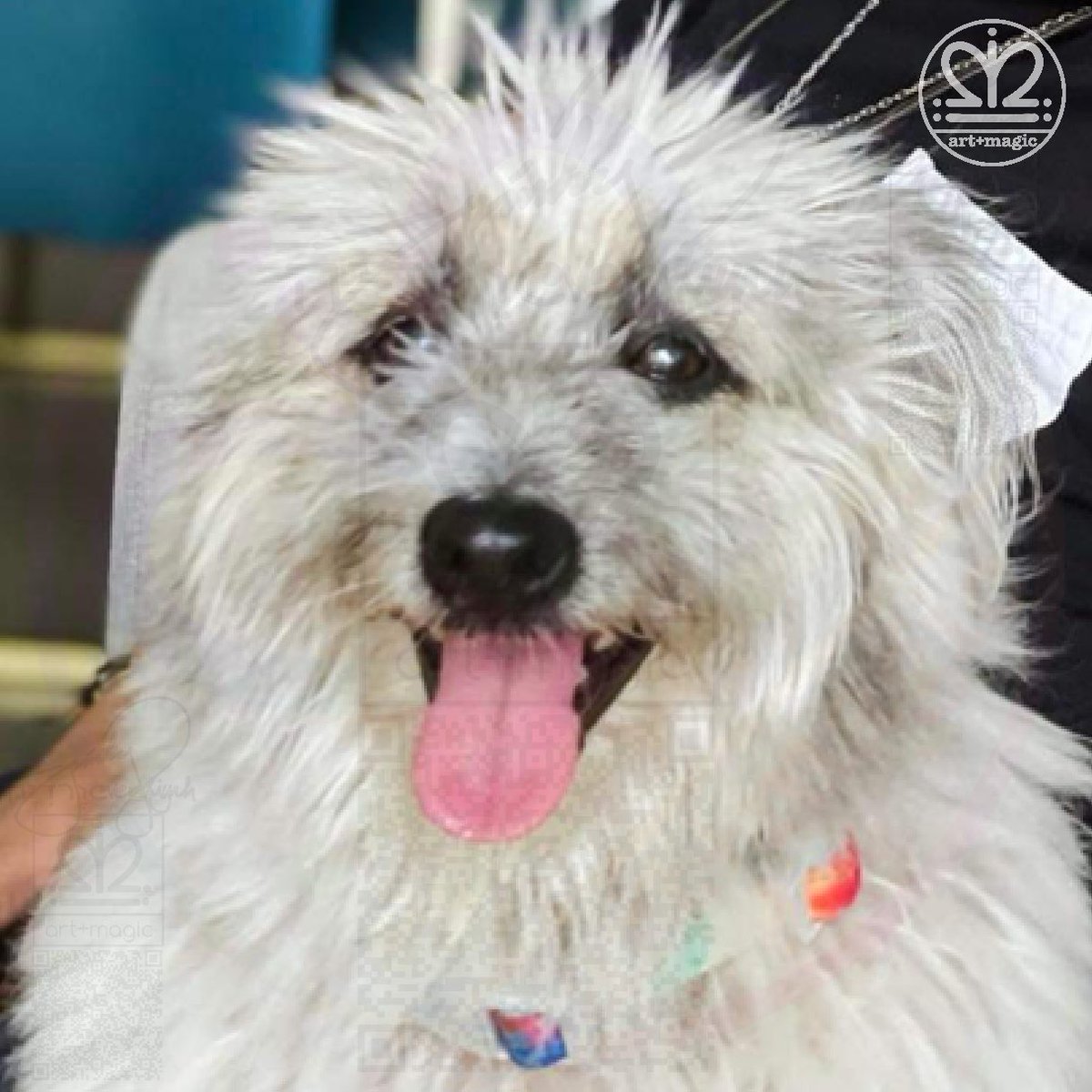 artplusmagic's tweet image. #bebeh #thebebeh #thebestestbebehever #thebestestbebehevereverever