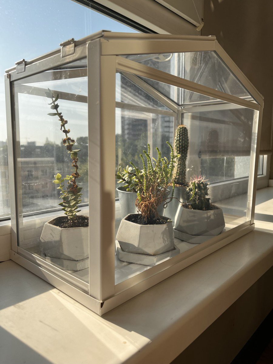 GM fam!
I so would like to share with u my current work, but i have NDA😢
so just take this sunrise and have a beautiful day!