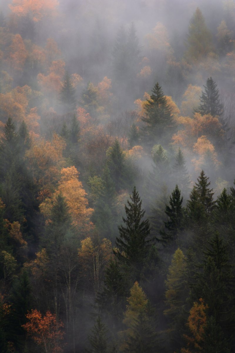 CameraHouse's tweet photo. π· Simon Bennett
#finalist Camera House Photo Friday #trees
Be sure to click the link in our bio and enter our Photo Friday Competition for your chance to win a $200 Camera House gift card.
#photography #camerahouse #chphotofriday #photooftheday #daily #picoftheday #photo https://t.co/xx44v9uhU5