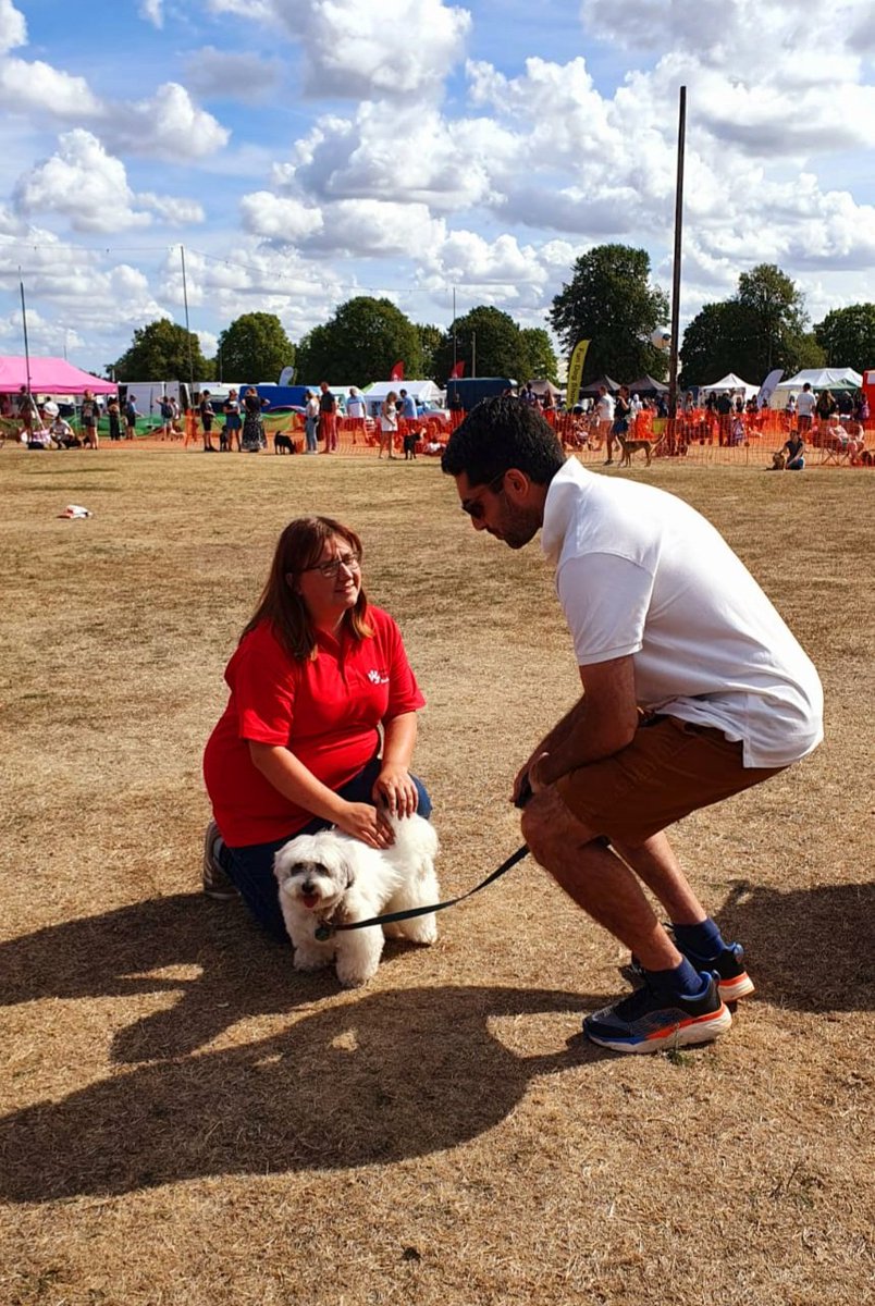 mare_poo's tweet photo. Best Crossbreed &amp; Best in Show in FUN DOG SHOW 2 #allaboutdogsshow 
I met my friend @Tomandtoto 🐾 as well.  Such a lovely Day.

#dog #dogsoftwitter #dogsarefamily https://t.co/NHGpIr9pas