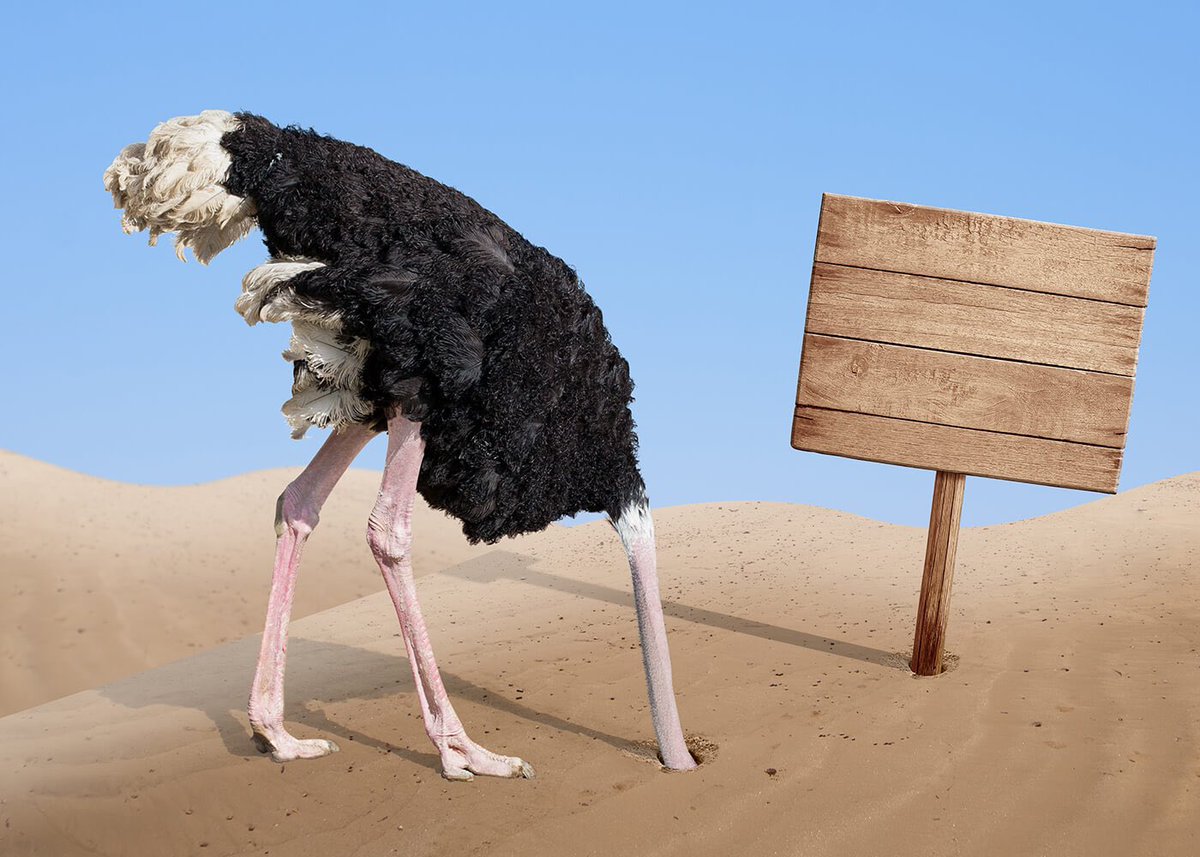 Temsili bir siyasi parti…