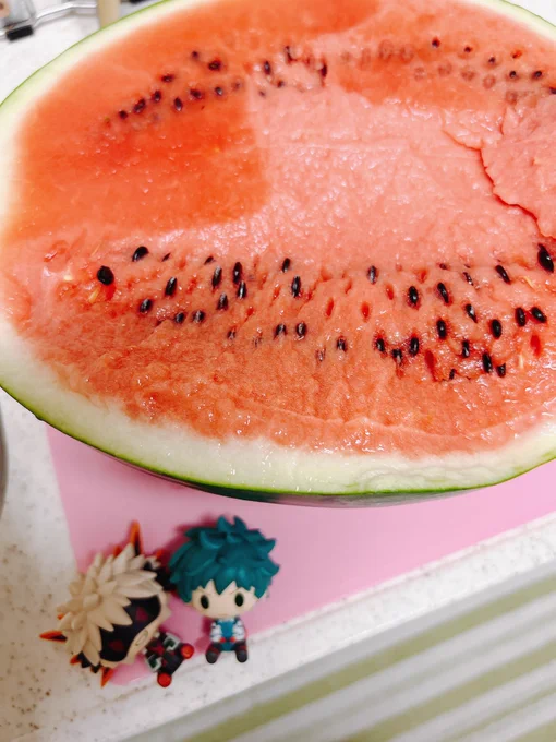 でっくんスイカ食べたんですけど!めちゃくちゃ甘くて感動した…これだから長野の農作物には信頼しかない…美味しいご馳走様です!!しばらくスイカパーティーが楽しめるぜ! 