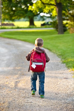 Have you checked your #child’s #school #bag? Don't be #scared because there may be a lot of #unexpected things in it. For children, anything can make them #curious. The school bag is where they hide their #treasures. Photo from Pixabay. #perfectseeking