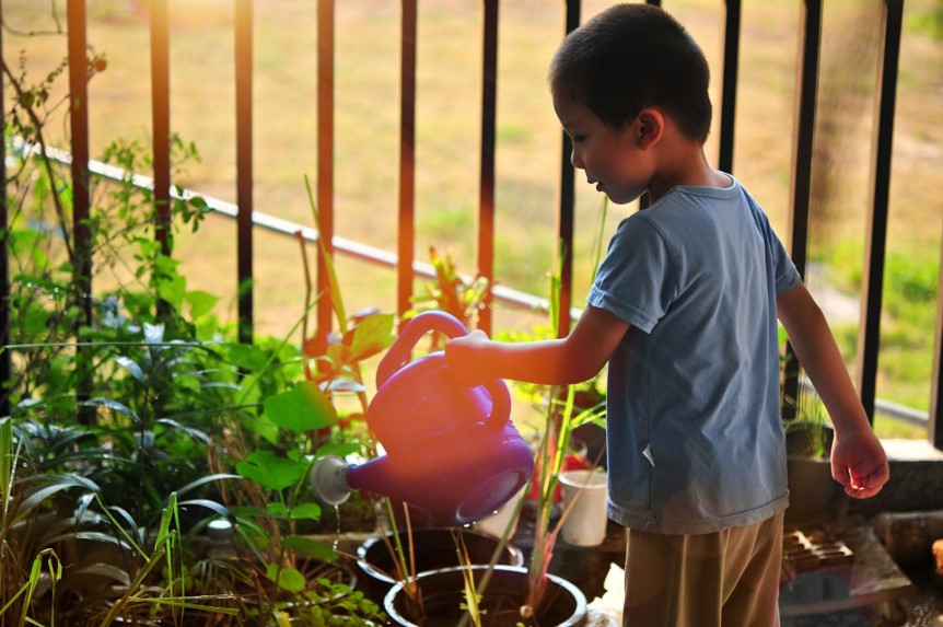 PerfectSeeking1's tweet photo. Would you let your #child learn to grow #plants? 
This way can train their #patience and let them identify more different plants. When the plant successfully #blooms and bears #fruit, kids would be over the moon. Give it a try!

Photo from Pixabay.

#perfectseeking https://t.co/gxDonT4LdK