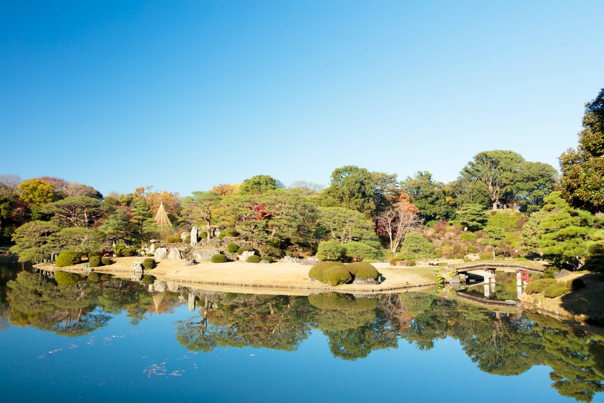 RikugienGarden's tweet photo. 【短期アルバイト募集！】窓口業務等
六義園では、紅葉期にわたしたちと一緒に仕事をしてくださる方を募集しています。
詳細はこちらをご覧ください。↓
https://t.co/jULmXWs7Mn
#六義園　#アルバイト　#庭園
写真は以前のもの（中の島　秋） https://t.co/JuLleLaYMv
