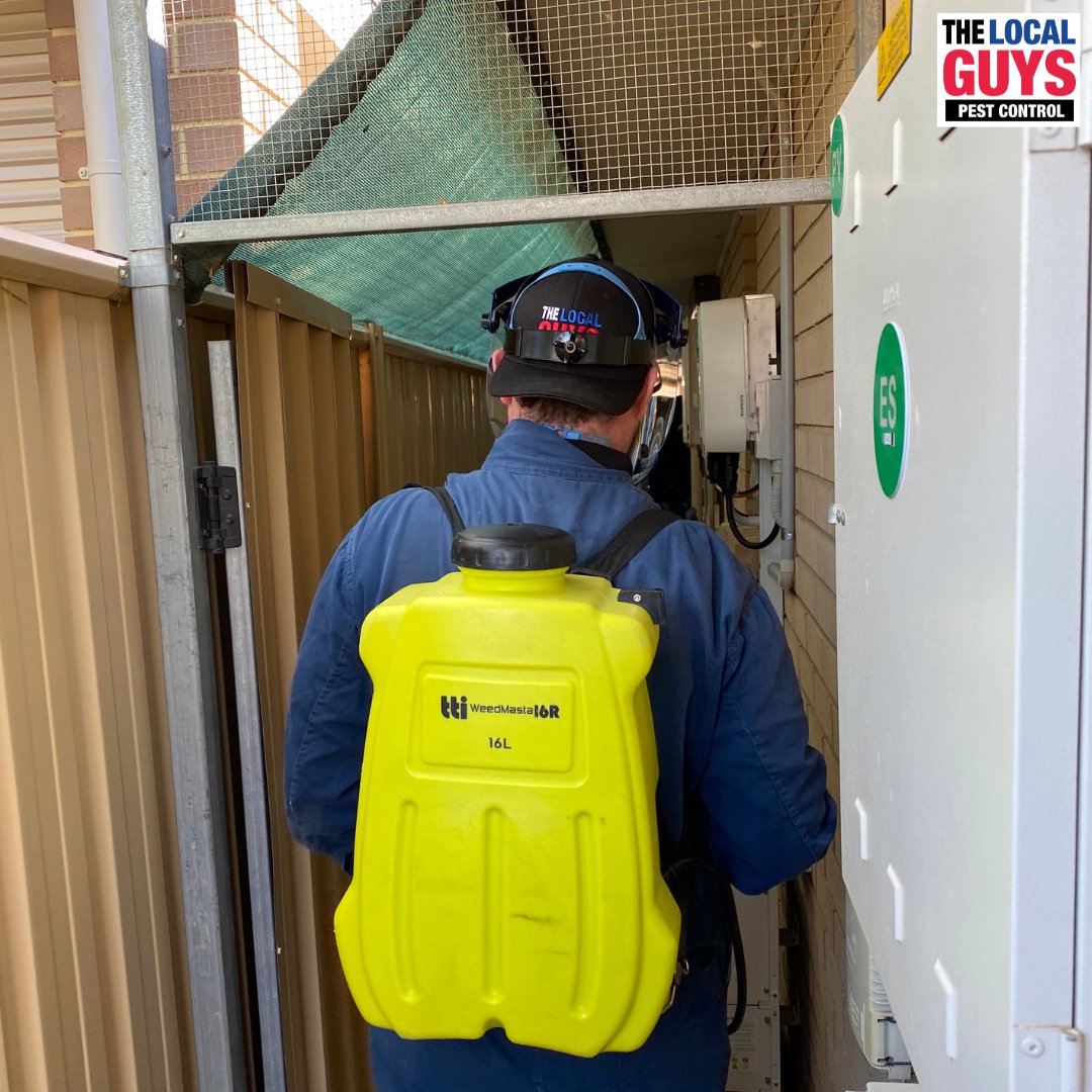 guys_local's tweet photo. Did you know that we offer experience days? If you are interested in one of our pest control franchise opportunities, our experience days allow you to see what a 'typical' day in the life looks like!
#thelocalguys #pestcontrol #supportlocal #franchising #franchise https://t.co/8L5MZEOvAS
