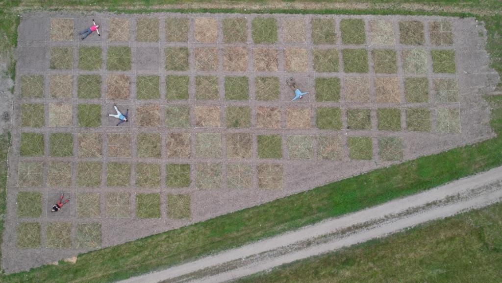 NowellMegan's tweet photo. Done and dusty! #FlowerMeds experimental #flowermeadow laid out. Now we wait 2-3 years to see which treatment is best for #pollinators

@NINAnature @NINAforskning #naturebasedsolutions #NBS #pollinatortiltak https://t.co/G3qkZN2QQi