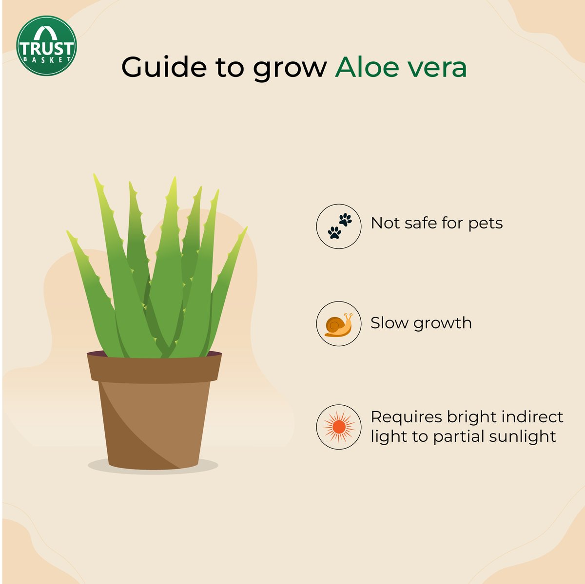 TrustBasket's tweet photo. Short notes on how to care for Aloe vera😍
To give your Aloe vera plant the best conditions to grow, give a quick look at this guide and follow these simple steps👈.

Visit: https://t.co/Fsjmjy4jyA https://t.co/32ty9P8npV