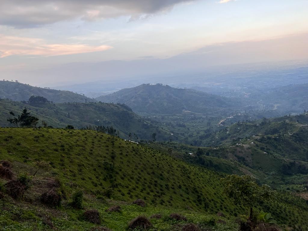 Ubora_coffee's tweet photo. As farmers, we have a moral obligation to increase land effiency. What are you doing in your farms to increase efficiency? @CoffeeUganda @KBarigye #uboracoffee #coffee https://t.co/8ncr5ePUzJ