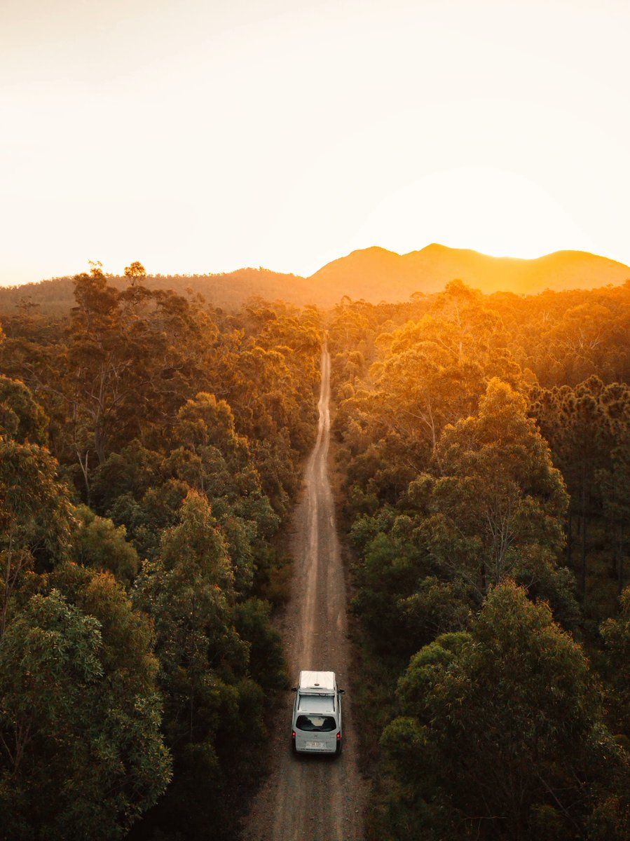 ISQua's tweet photo. Register for #ISQuaconference and book a @visitBrisbane adventure to turn your work trip into a mini holiday 👉https://t.co/kPwTrZKns5 #visitbrisbane
#thisisqueensland #tourismaustralia https://t.co/r9cTZ2bGAx