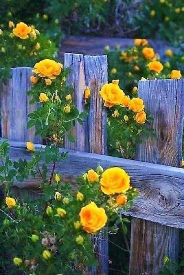 LaNissarda's tweet photo. Bonne journée mes Twittous 💕 https://t.co/urg8cwFqjL