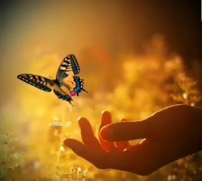 ؛،؛
واختر من تزرعهم في قلبك بدقة ....
لأن إقتلاع البذور أسهل من إقتلاع الأشجار!!
،؛،
#حروف_وقهوة 
#حروف_م_القلب 
#حروف_فريدة