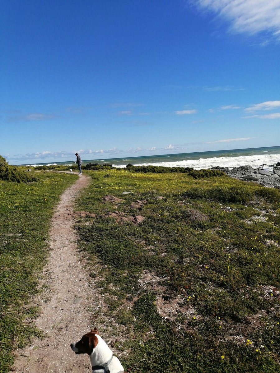 arbmimi's tweet photo. Beautiful #hikes #walks on the #westcoast #grottobay close to #CapeTown #adventures https://t.co/XEFigwRdL5