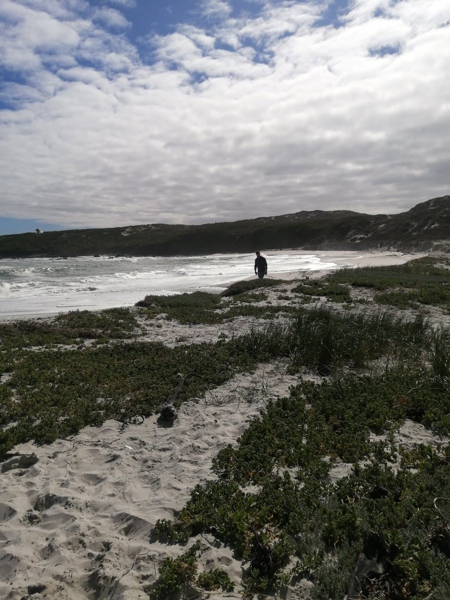 arbmimi's tweet photo. Beautiful #hikes #walks on the #westcoast #grottobay close to #CapeTown #adventures https://t.co/XEFigwRdL5