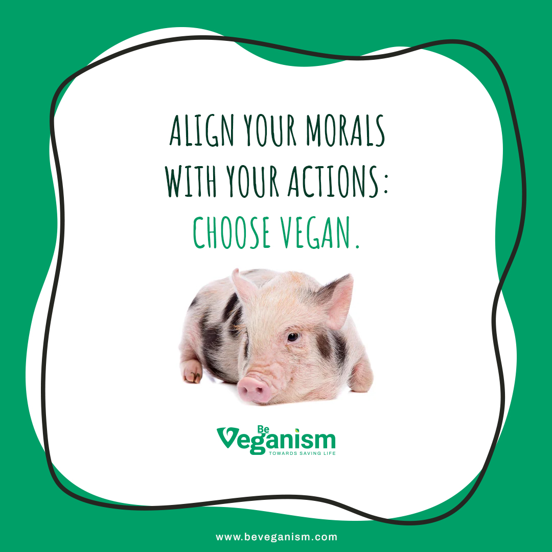 beveganism's tweet photo. Veganism's main goal isnโt to convert everyone, but rather to get rid of unethical farming as a whole. Where they can live a normal life yet still be used as produce, rather than treating them as machines.
#beveganism #veganrevolution #beyondmeat #beyondmeatburger #govegan https://t.co/Cwh5NTO2Jc