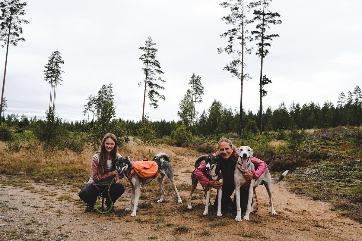 Canicross44's tweet photo. Liebe Grüsse aus 🇸🇪
#Doghiking #canitrail #alaskanhusky https://t.co/h2NwDWSgSf