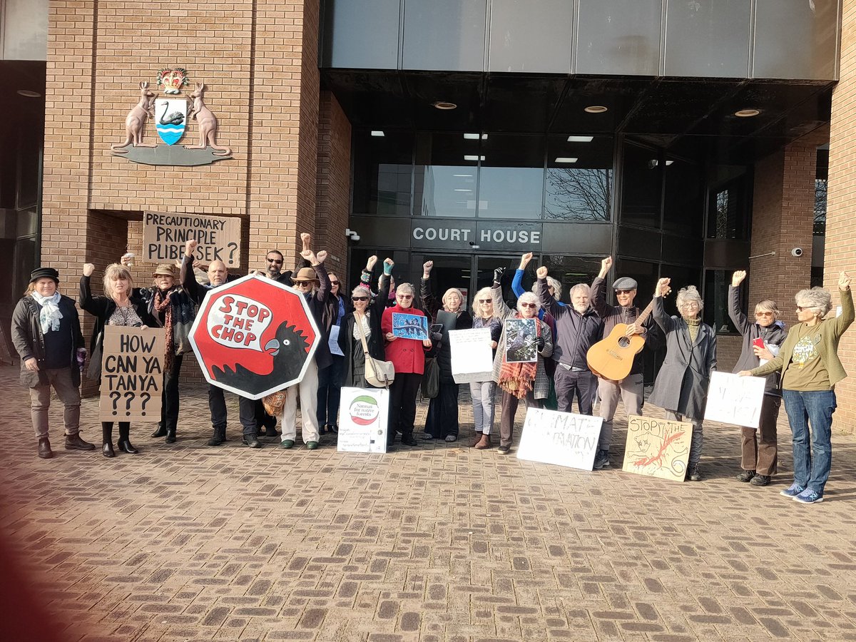MissT2020's tweet photo. @tanya_plibersek we've gone to court when really YOU should be the one going and being accountable for the destruction of Critically Endangered species and habitat. It's YOUR JOB TO BE AN ENVIRONMENT Minister! #savegelorupcorridor @BobBrownFndn @waforests https://t.co/TAHsV0DHUy