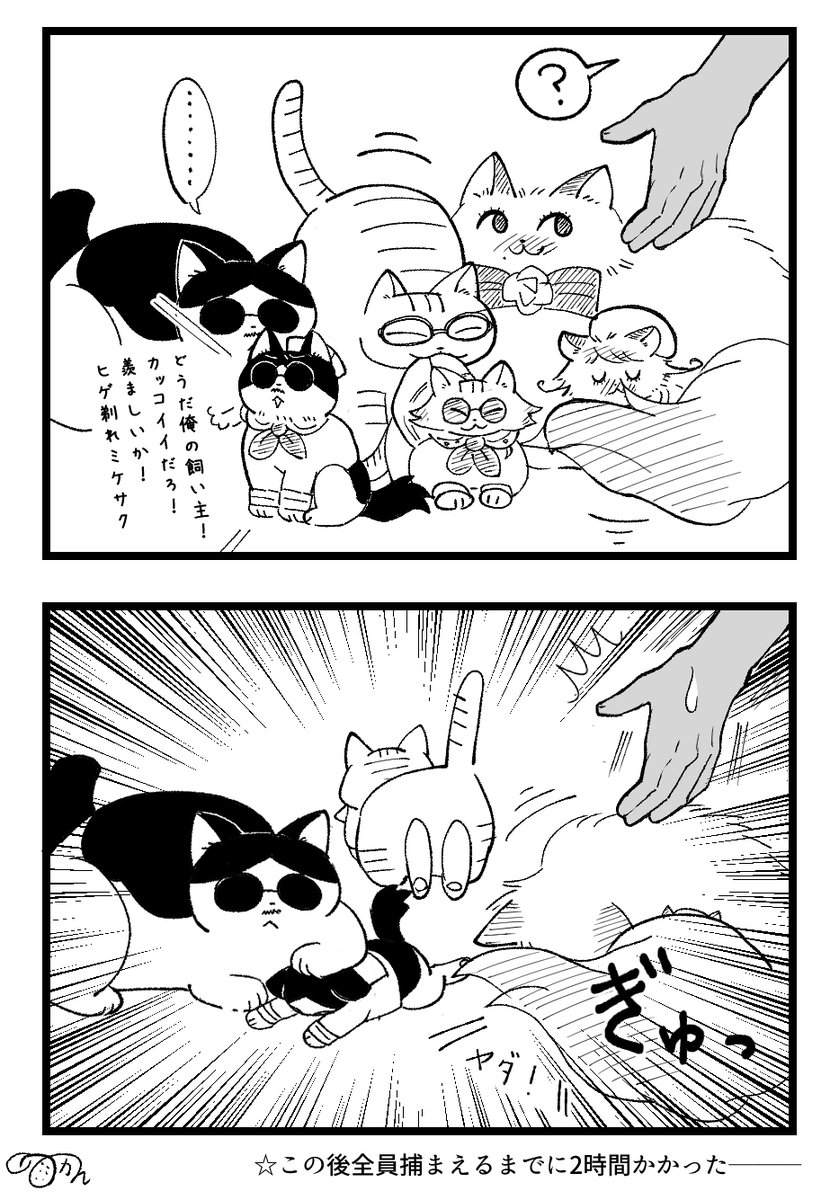ついに別れの時が来ました漫画。
子猫編完結です~!ビートキャット達は飼い主達含めてまた出したいなぁ。
祥寺が「髭剃れ桜井」って言ってる動画好きなんだけど、あれなんの映像なんだろう←