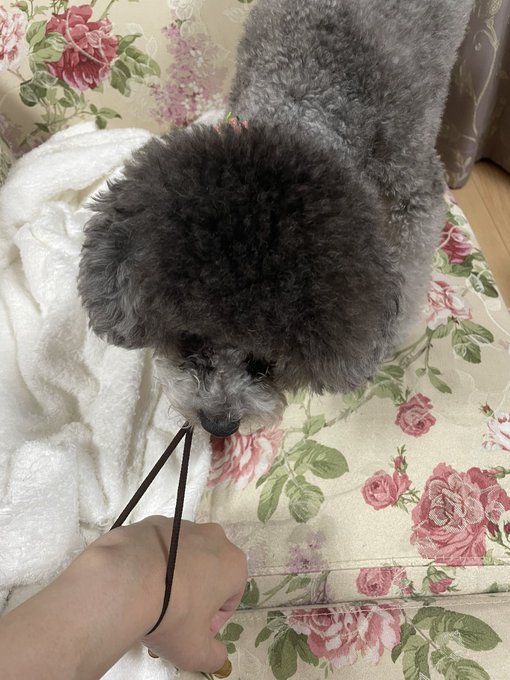 ããŒã£!ã客æ§å°ããŸãã客æ§!ããŒã£!ããŒã£!!å°ããŸãã客æ§!ãã®ãŸãŸé¢ãããŸããšãŽã ãããã³ãšããŒãŒãŒãŒãŒãŒãŒãŒãŒã£ã£!!!!!!!!!!!