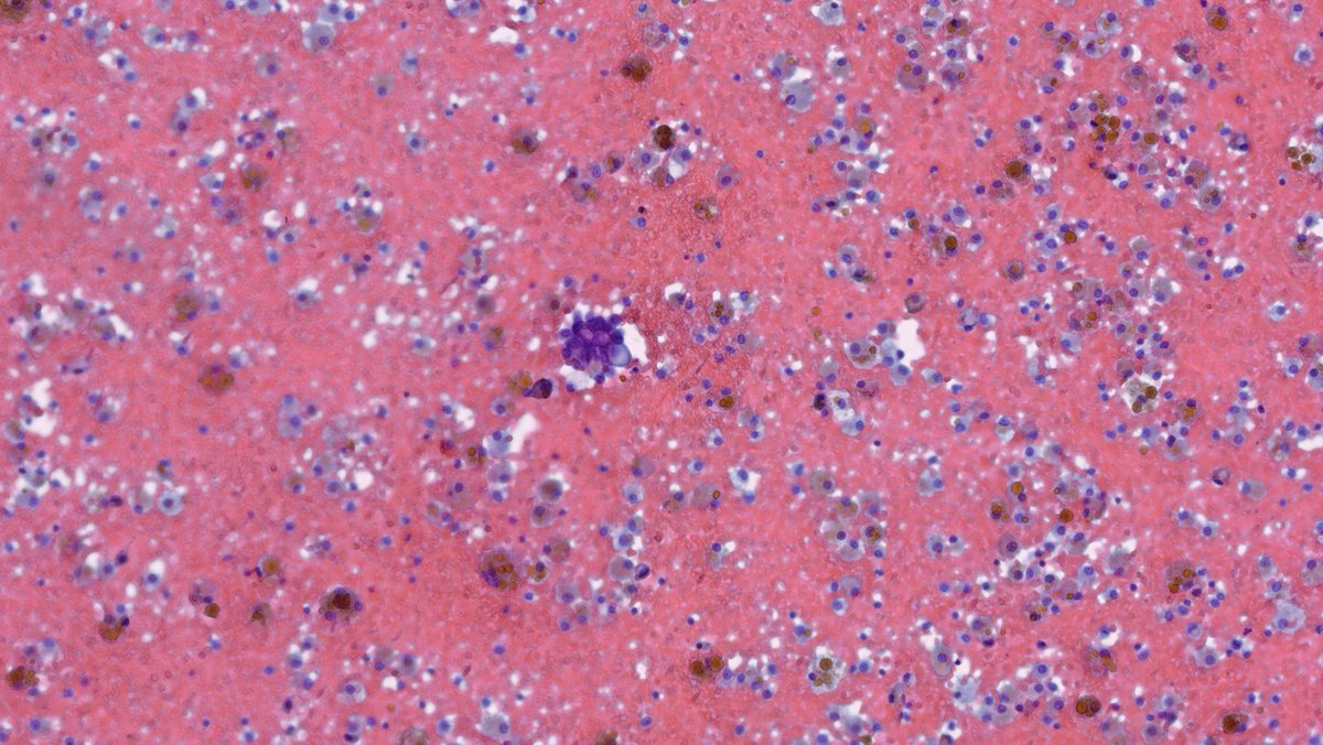 Lola Lozano tweet media