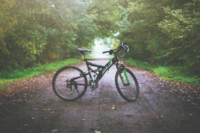 JoshNovak's tweet photo. ▫️#relax, #natureheals!🏞🚵
#naturephotography #bicykelhelpyou😊 #greeniscool 📷™ https://t.co/1ozsjg8MZm