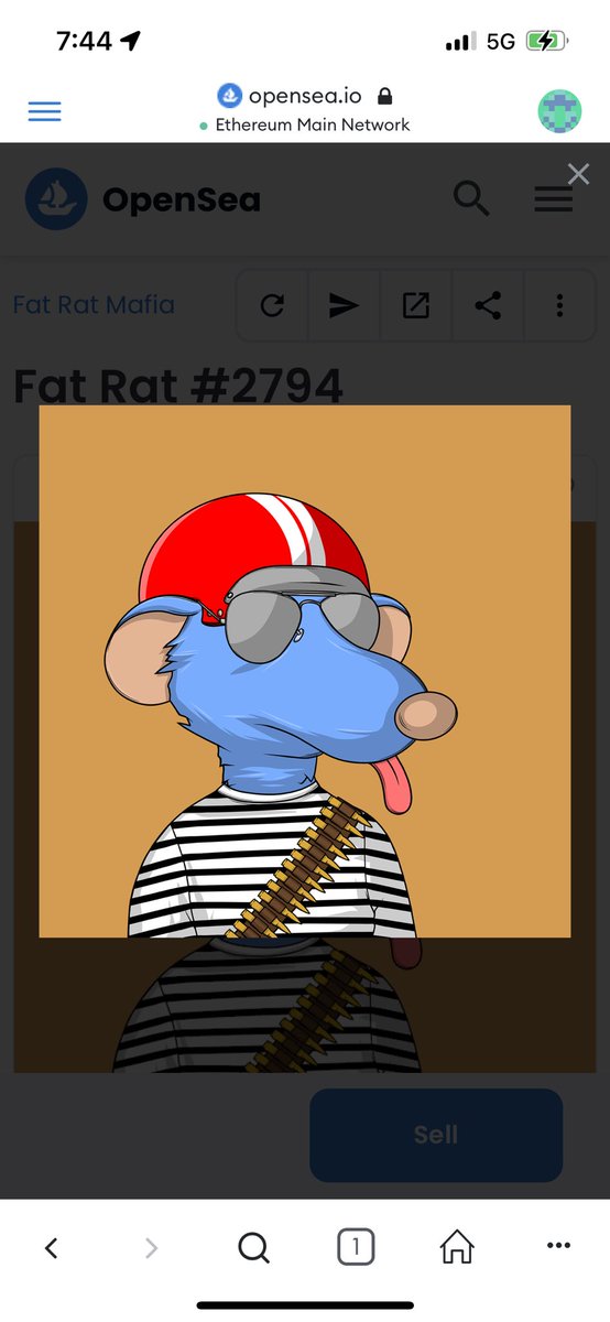 fudstudeth's tweet photo. Giving away a @fatratmafia From the ones I just swept 🧹 🧹 rules: retweet+like and follow @fatratmafia tag two friends who are not part of the mafia ends in 24hrs. https://t.co/0SZTRrl1lb