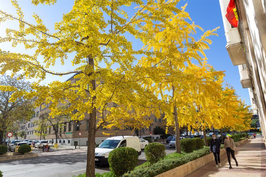 .<a href="/Alianza/">Rebekah Shoop</a> Verde ha pedido medidas destinadas a proteger y a preservar los #árboles urbanos, con el fin de evitar "talas indiscriminadas" como la del ficus de San Jacinto, en #Sevilla, o la de #Marrutxipi, en #Donostia.
efeverde.com/alianza-verde-…