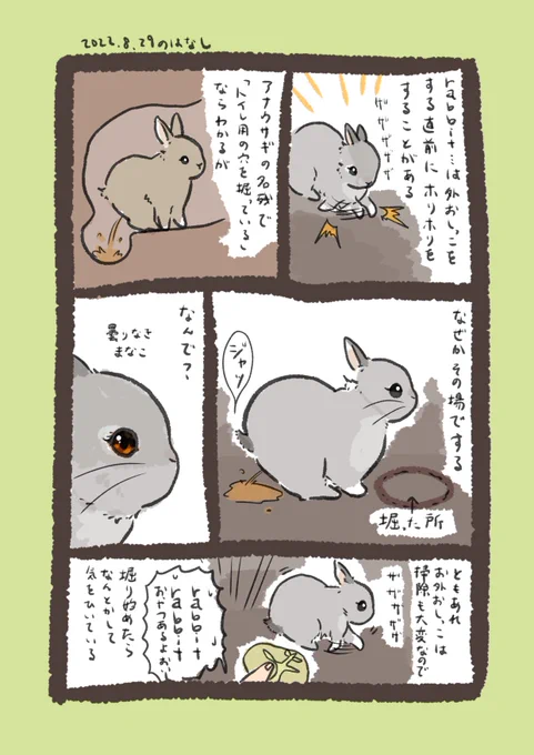 今日のrabbit…
#うさぎのいる生活 
