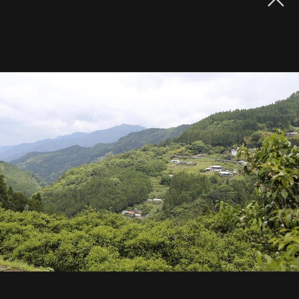 c0c0cham's tweet photo. soulsoils様の
山奥深くの高知県の大豊町の杉に
囲まれたゆず畑で年に一度だけ採取される有機ゆず花の貴重な国産蜂蜜🍯
口に入れる時にお花のような
香りがひろがり不思議な感覚😲✨
そしてクセになるおいしさ!💓
https://t.co/hhEnSxzhYt
#soulsoils #はちみつ #スイーツ #おいしい https://t.co/REXheKVAsW