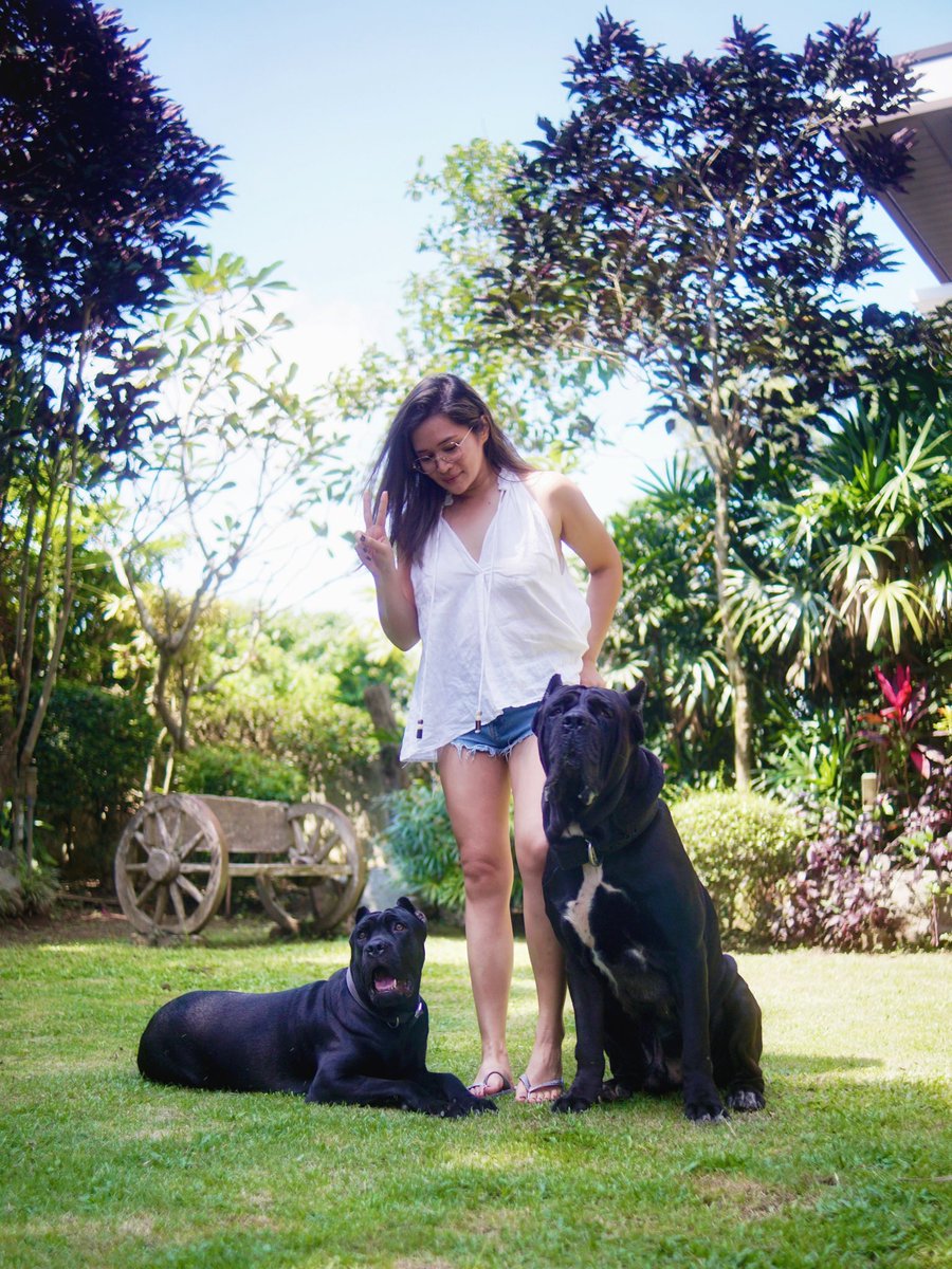 raleene's tweet photo. My other babies 🖤🖤 https://t.co/QuG08VAwFX