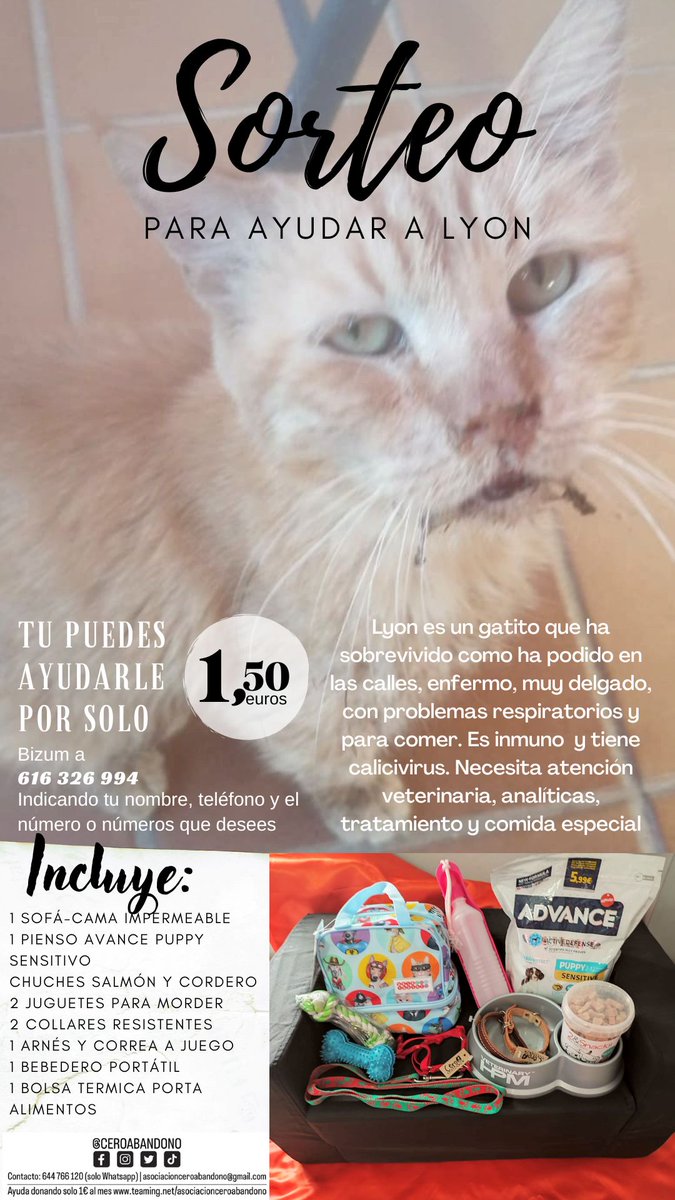 #Sevilla Lanzamos #Sorteo de ayuda para #Lyon
Uno de regalitos para perrito y otro para gatitos. Puedes colaborar mediante bizum al 616326994 indicando en el concepto para cuál participas, los números elegidos y tu teléfono. Ej "Gato 34 43 678543210" Lista actualizada en Facebook