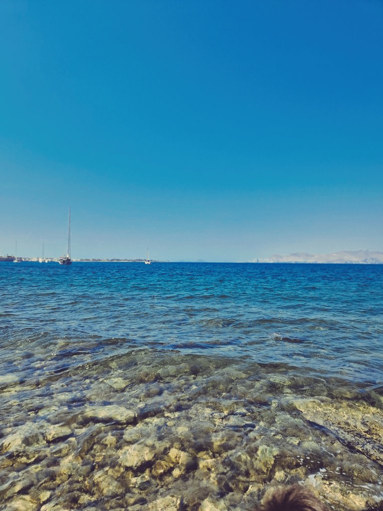 musikandmylife's tweet photo. Go wild for a while! #Greece #Kos #islandfun #vacationmode #summer #travelphotography https://t.co/7FuOrRC8Zf