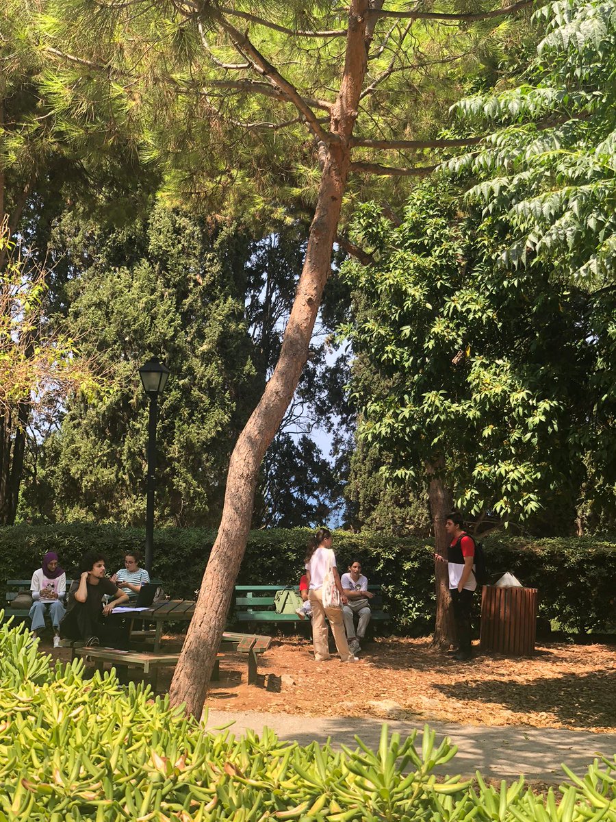 Welcome to our #AUB students for the 1st day of the fall semester 2022-23.
It's great to have you on campus!