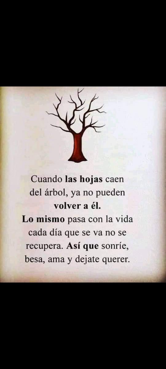 Cintia Iris Carranza Arzate (@cintiaarzate) on Twitter photo 