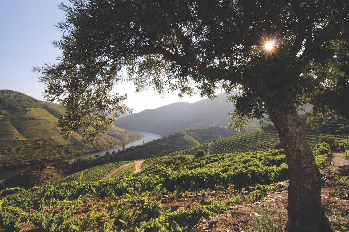 Olá Norte, chegamos! A partir de hoje, a 3Maps irá implementar a nova Plataforma Geoespacial da <a href="/ccdrn/">CCDR NORTE</a> . Uma plataforma que visa contribuir de forma inequívoca para a monitorização digital de toda a Região do Norte (NUT II).

Ler mais: linkedin.com/posts/3maps_no…