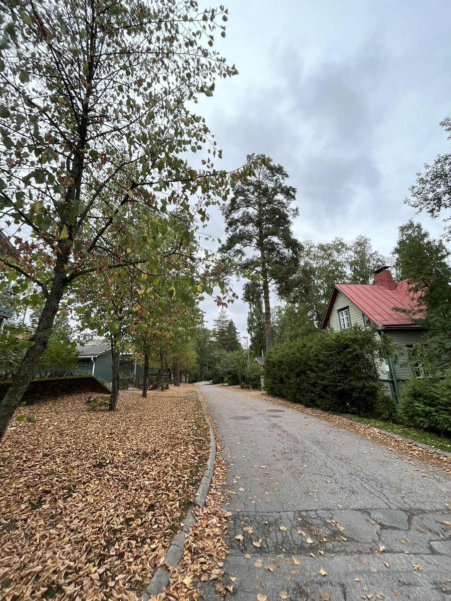 JukkaPartanen3's tweet photo. Great #run, great weather - downtime from work 12km/7,5miles +15°C/59°F #running #streetrunning #training #urbex #streetview #photography #streetphotography #landscapephotography #urbanphotography #channel169 #ThePhotoHour #ランニング #nature https://t.co/wVWcVst8Jg