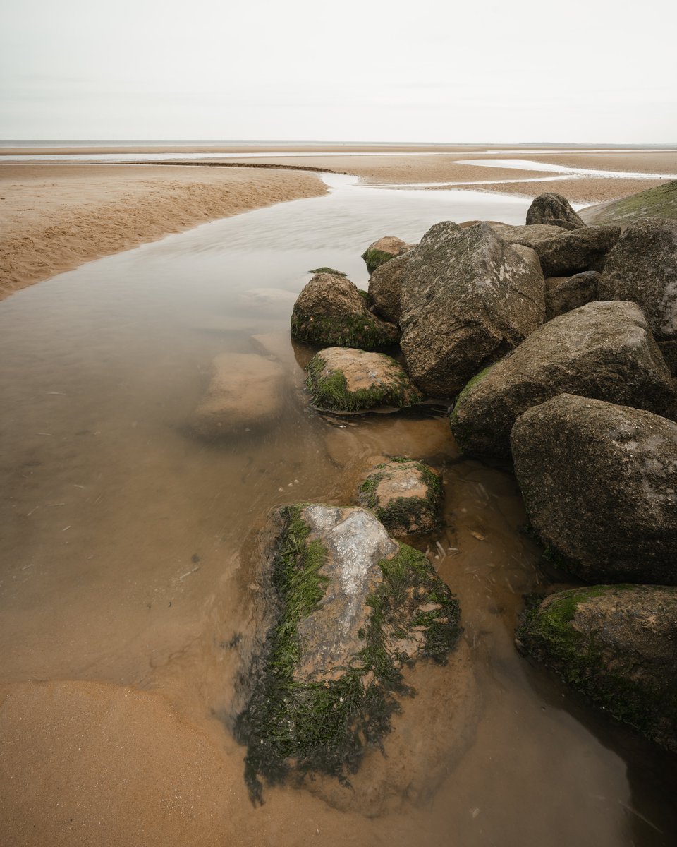 Chris Harvey tweet media