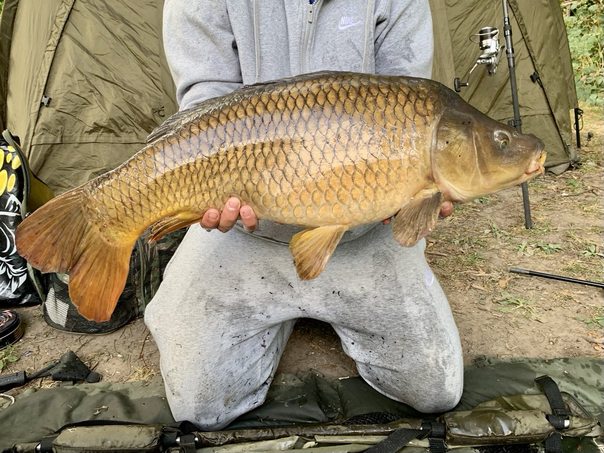 AaronKe39988631's tweet photo. Second one, I never get day bites on this water! #Nashbaits #scopexsquid https://t.co/rkJGkMBu7d