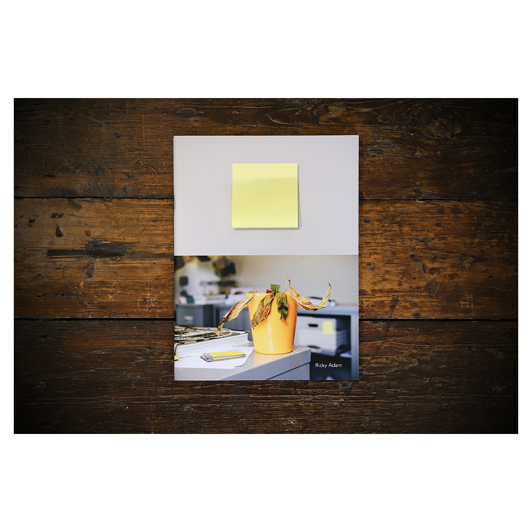 BelfastExposed's tweet photo. This touching zine by @rickyadam is now available in our bookstore for £12. It explores and documents the abandoned office plants that passed away during the Covid 19 lockdown in 2020. https://t.co/2M0uECl0SS