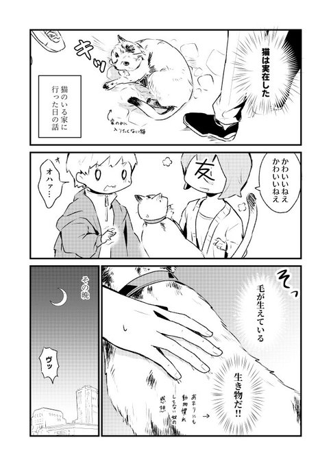 漫画のアカウントで載せた猫と触れ合った感想のやつ、こっちにも上げちゃう
結構前の話 