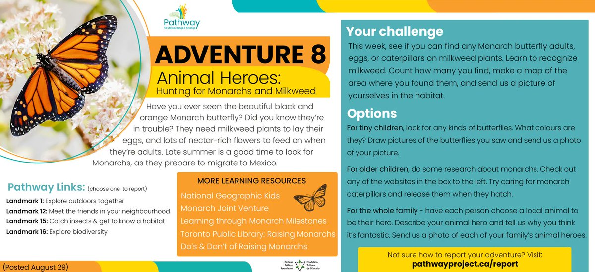 PathwayProject_'s tweet image. 🦋 It's Adventure 8 and we are soaring on this final Quest to find monarchs and milkweed! Log 5 of the 8 of our summer adventures before Labour Day and you could win one of three huge grand prizes. Find out all the details  at,  buff.ly/3vnfCmD