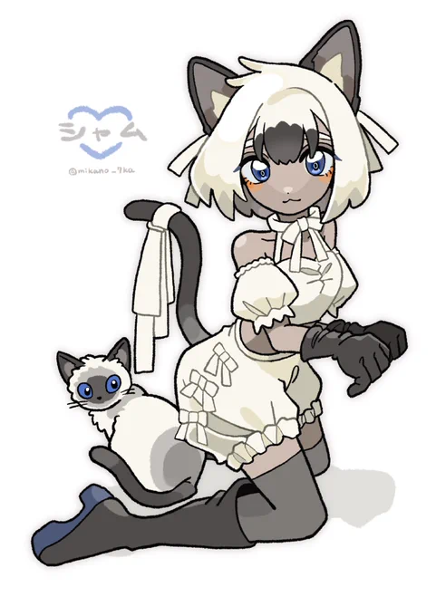 シャム猫のキャラデザ 