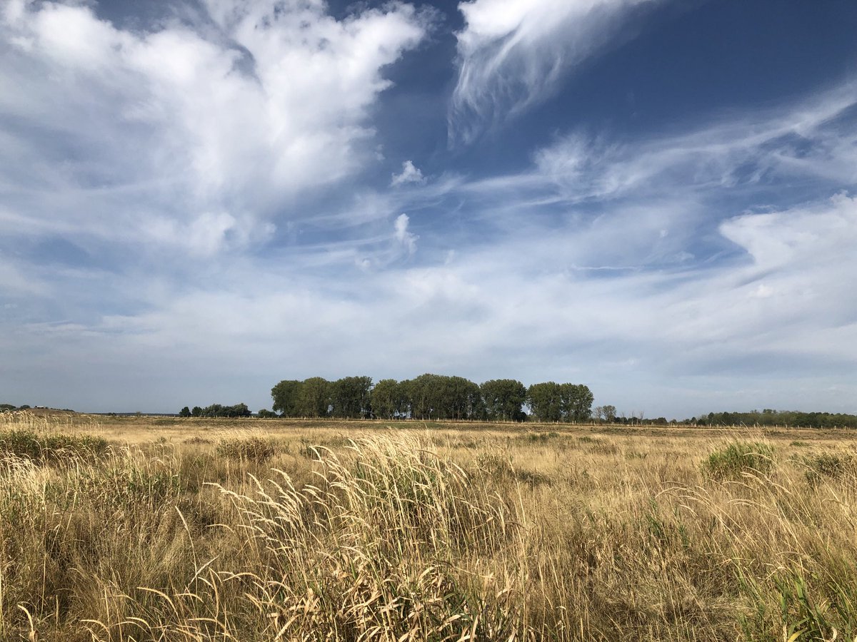 HoubenStefan's tweet photo. #vrtweer 10u36 #maasvallei #dilsen-stokkem #visitlimburg https://t.co/9XTd6rPgby