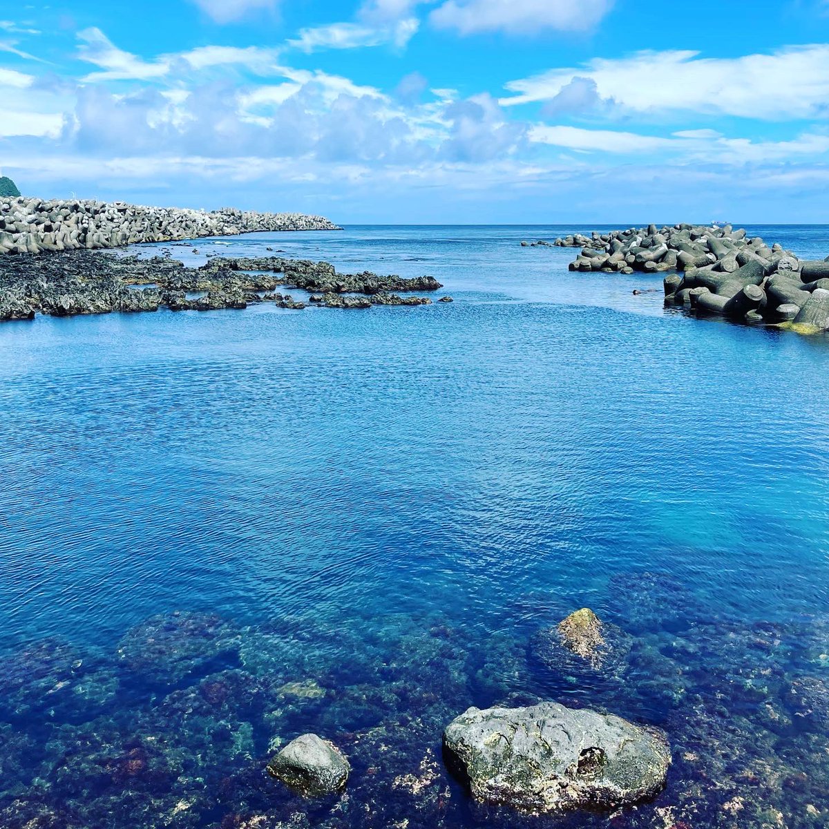 Magnum_Tb's tweet photo. End of July...
Memories of Izu Oshima...
今回素通りした日の出浜。
海水浴におすすめだけあって、透明度も高く、ライフセイバーの方や設備も整っており、安心感のあるビーチでしたよ。
岡田港から近く、ここでのんびりもありですよ。
#tokyo
#sevenislands
#izuoshima
#beach
#hinodehama https://t.co/3Cg7vltYeM