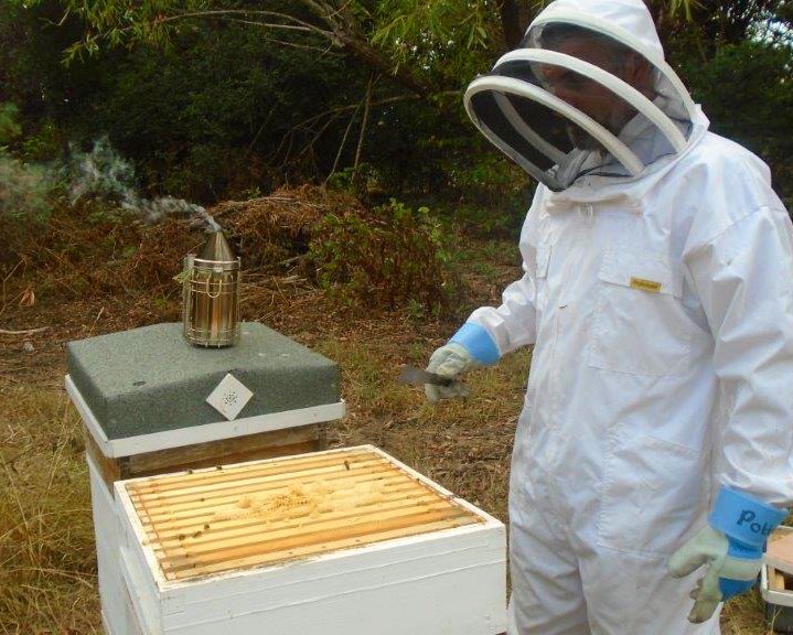 hmyoifeltham's tweet photo. Bank Holiday bees! Guess what’s coming……..
#greatoutdoors #enviroment #workerbees #pollinationpowerstheplanet https://t.co/C7GjqGqAKA