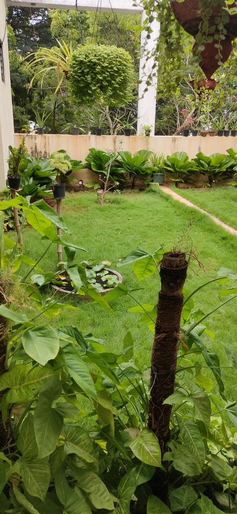 VijiThiruRishi's tweet photo. @cpsavesoil #SaveSoul
Let's make it happen https://t.co/aP9Dq8GDO2