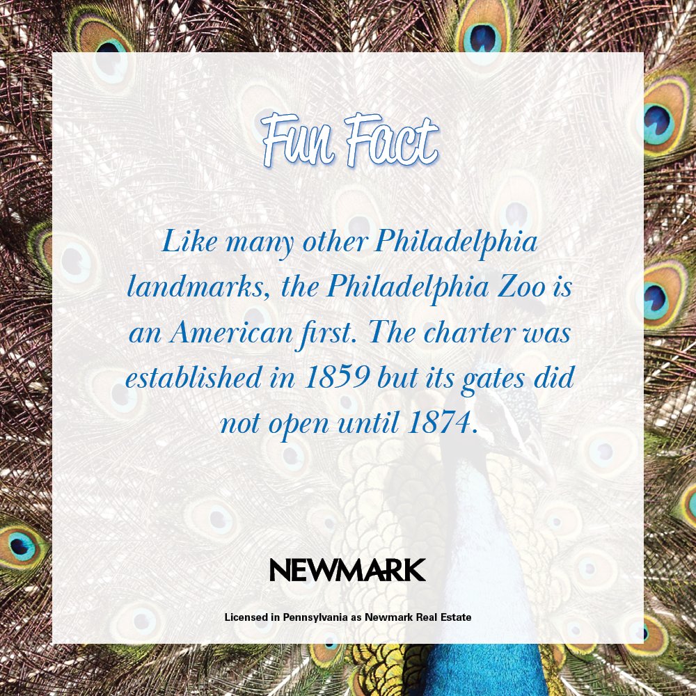 Newmark_NE's tweet photo. Newmark brings you a fun fact about the Greater Philadelphia area.
#newmark 
#phillyfunfact 
#philadelphia https://t.co/nMu9DJn85U